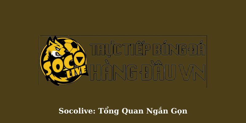 Socolive - Tổng Quan Ngắn Gọn-U23 châu Á