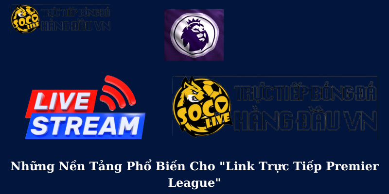 Những Nền Tảng Phổ Biến Cho Link Trực Tiếp Premier League