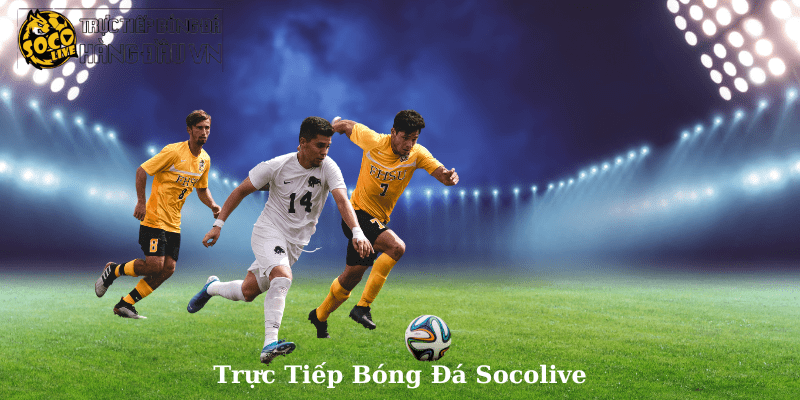 Trực Tiếp Bóng Đá Socolive