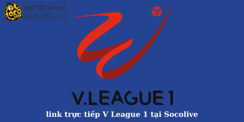 link trực tiếp V League 1 tại Socolive