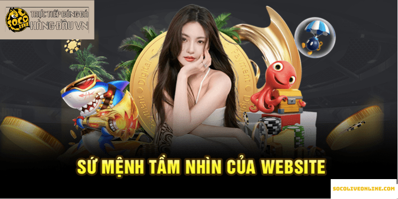 Sứ mệnh tầm nhìn của website